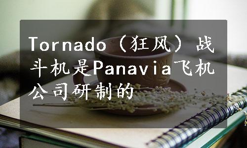 Tornado（狂风）战斗机是Panavia飞机公司研制的