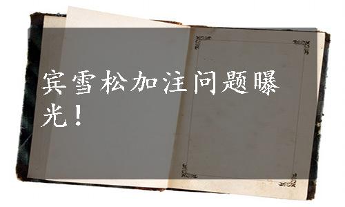 宾雪松加注问题曝光！