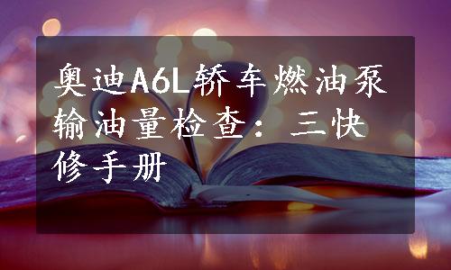奥迪A6L轿车燃油泵输油量检查：三快修手册
