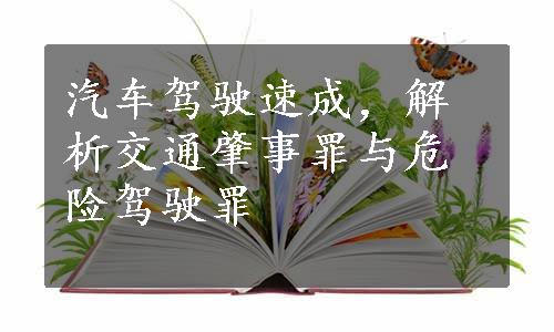 汽车驾驶速成，解析交通肇事罪与危险驾驶罪