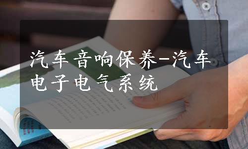 汽车音响保养-汽车电子电气系统