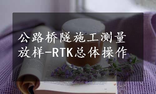 公路桥隧施工测量放样-RTK总体操作