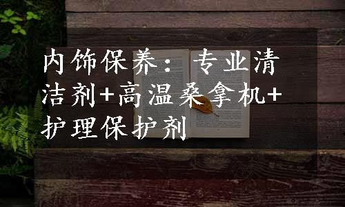 内饰保养：专业清洁剂+高温桑拿机+护理保护剂