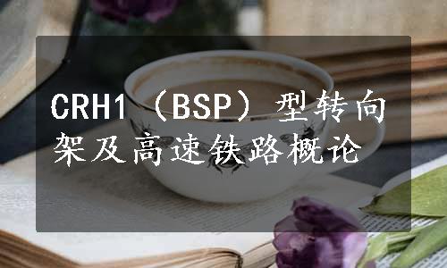 CRH1（BSP）型转向架及高速铁路概论