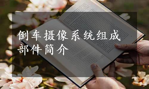 倒车摄像系统组成部件简介