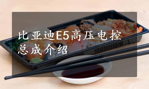 比亚迪E5高压电控总成介绍