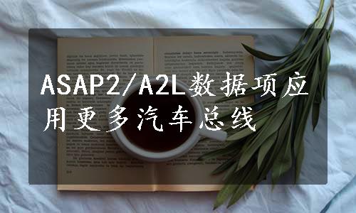 ASAP2/A2L数据项应用更多汽车总线