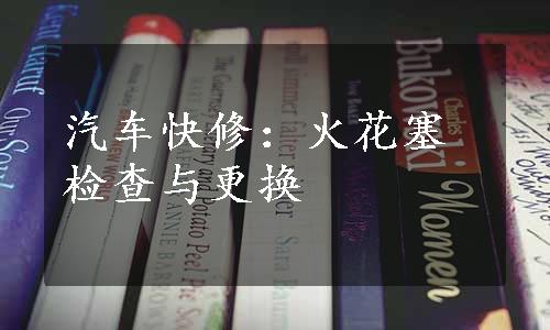 汽车快修：火花塞检查与更换