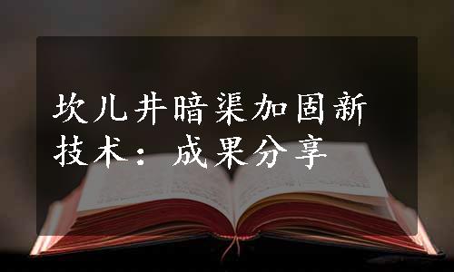 坎儿井暗渠加固新技术：成果分享