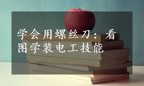 学会用螺丝刀：看图学装电工技能