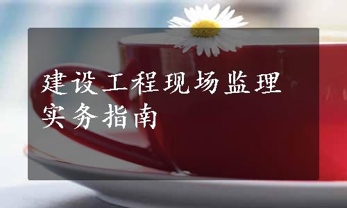 建设工程现场监理实务指南