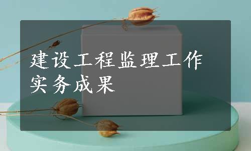建设工程监理工作实务成果