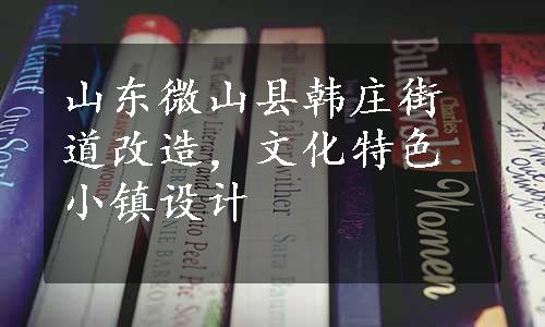 山东微山县韩庄街道改造，文化特色小镇设计