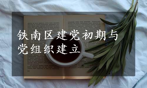 铁南区建党初期与党组织建立