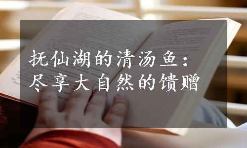 抚仙湖的清汤鱼：尽享大自然的馈赠