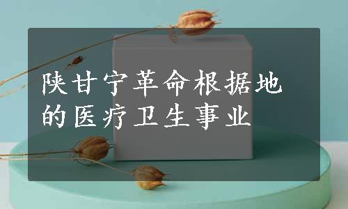 陕甘宁革命根据地的医疗卫生事业