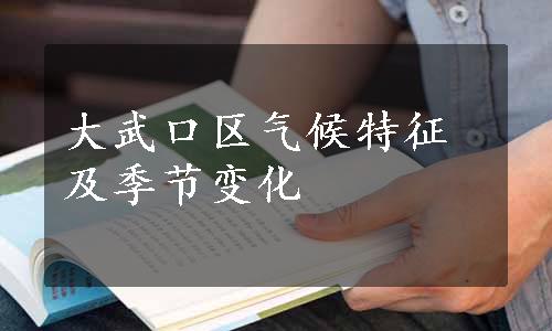 大武口区气候特征及季节变化