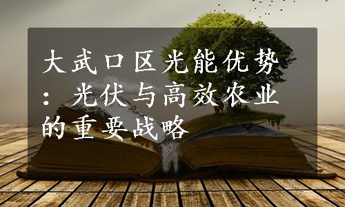 大武口区光能优势：光伏与高效农业的重要战略