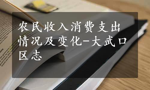 农民收入消费支出情况及变化-大武口区志