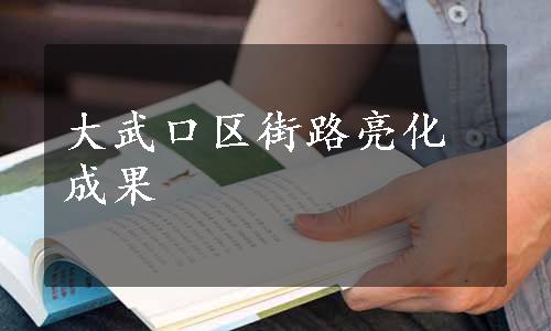 大武口区街路亮化成果