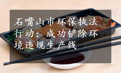 石嘴山市环保执法行动：成功铲除环境违规生产线