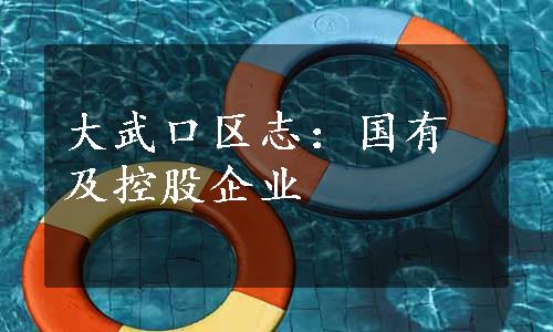 大武口区志：国有及控股企业