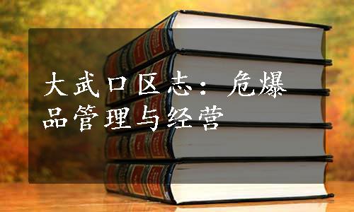 大武口区志：危爆品管理与经营