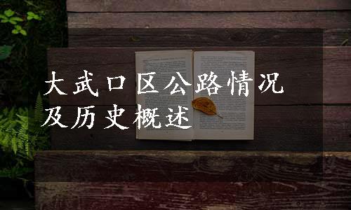 大武口区公路情况及历史概述