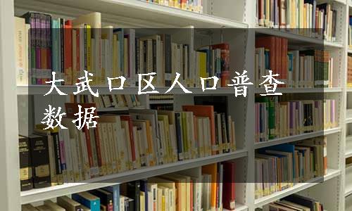 大武口区人口普查数据