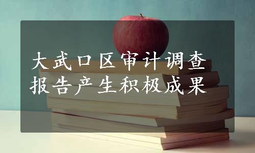 大武口区审计调查报告产生积极成果