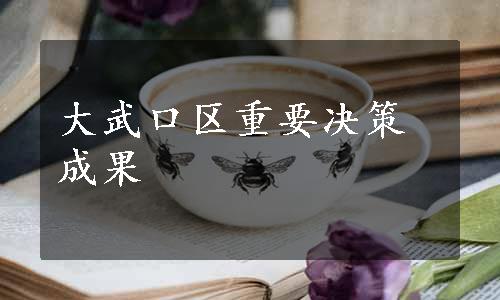 大武口区重要决策成果