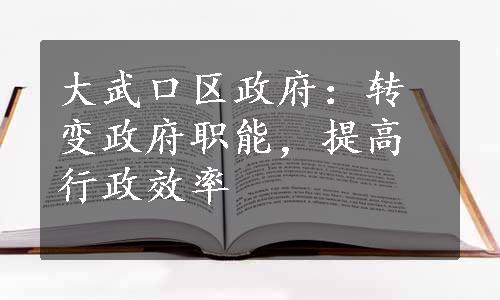 大武口区政府：转变政府职能，提高行政效率