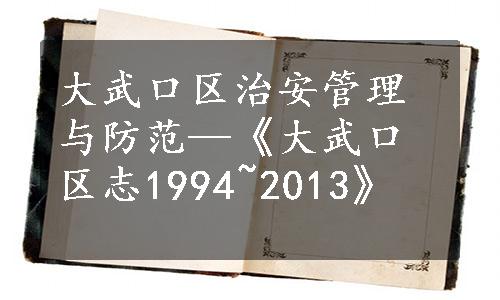 大武口区治安管理与防范—《大武口区志1994~2013》