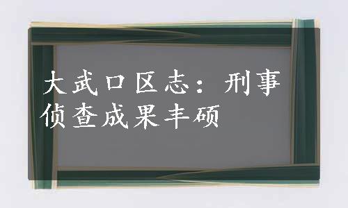 大武口区志：刑事侦查成果丰硕