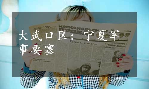 大武口区：宁夏军事要塞