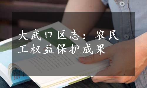 大武口区志：农民工权益保护成果