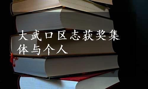 大武口区志获奖集体与个人