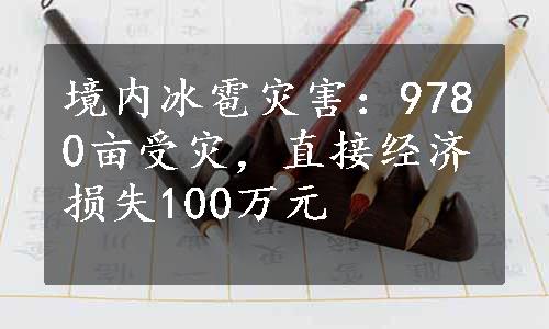 境内冰雹灾害：9780亩受灾，直接经济损失100万元