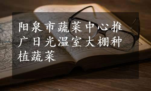 阳泉市蔬菜中心推广日光温室大棚种植蔬菜