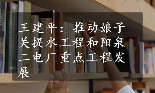 王建平：推动娘子关提水工程和阳泉二电厂重点工程发展