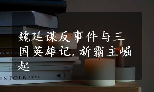 魏延谋反事件与三国英雄记.新霸主崛起