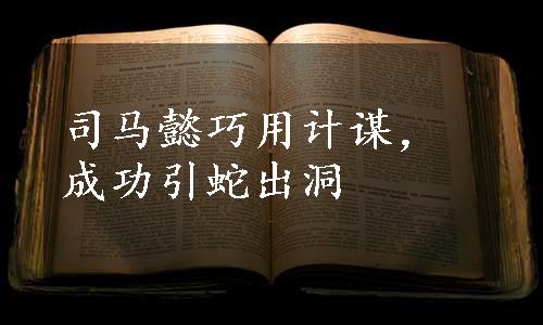司马懿巧用计谋，成功引蛇出洞