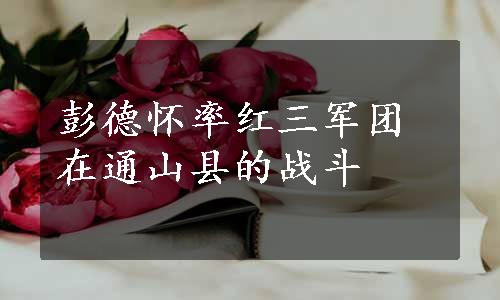 彭德怀率红三军团在通山县的战斗