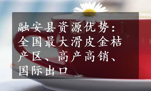 融安县资源优势：全国最大滑皮金桔产区、高产高销、国际出口
