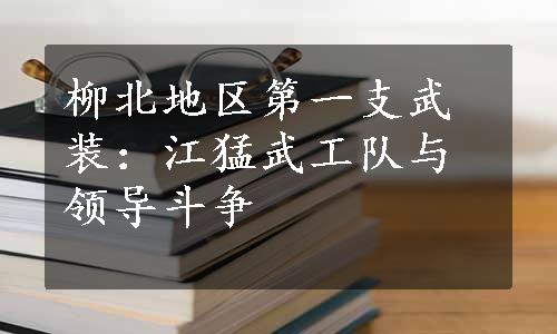 柳北地区第一支武装：江猛武工队与领导斗争