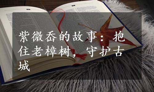 紫微岙的故事：抱住老樟树，守护古城