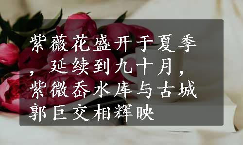 紫薇花盛开于夏季，延续到九十月，紫微岙水库与古城郭巨交相辉映