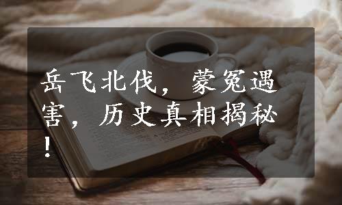 岳飞北伐，蒙冤遇害，历史真相揭秘！