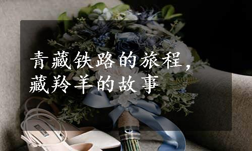 青藏铁路的旅程，藏羚羊的故事