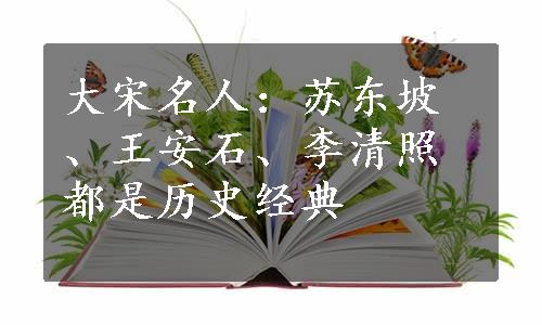 大宋名人：苏东坡、王安石、李清照都是历史经典